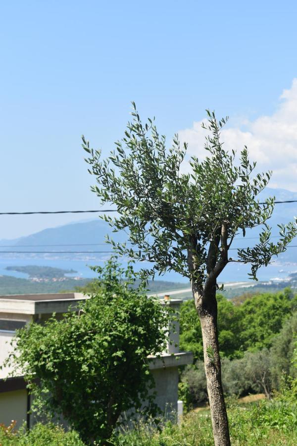 Macic Dub Ii * Kotor